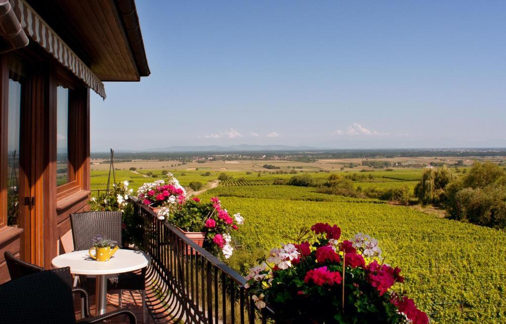 Hotel Restaurant Au Riesling Зелленберг Екстер'єр фото